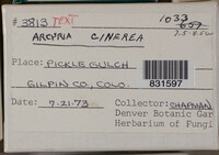 Image Associated With the Occurence